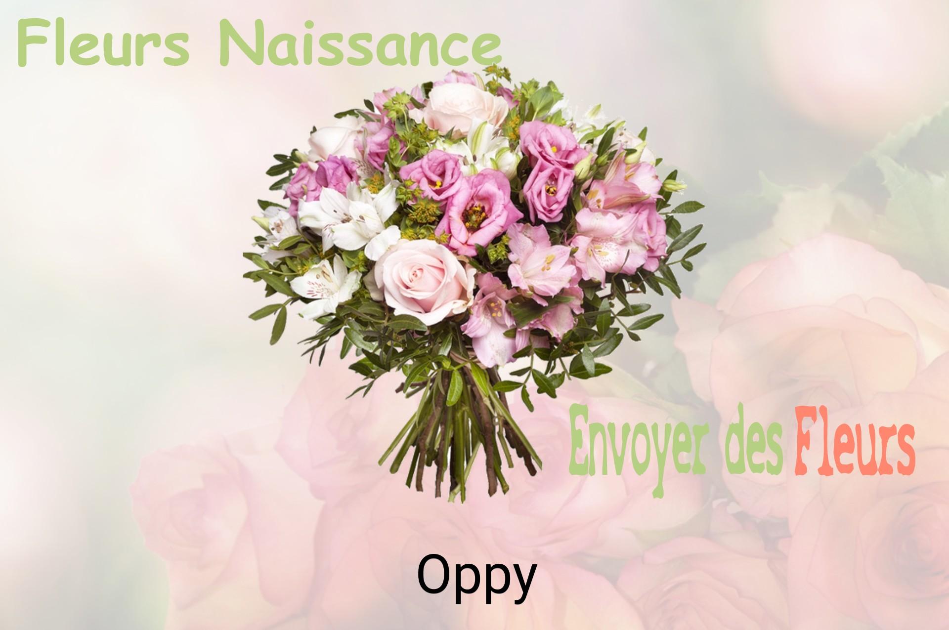 Bouquet de fleurs de naissance livré à Oppy